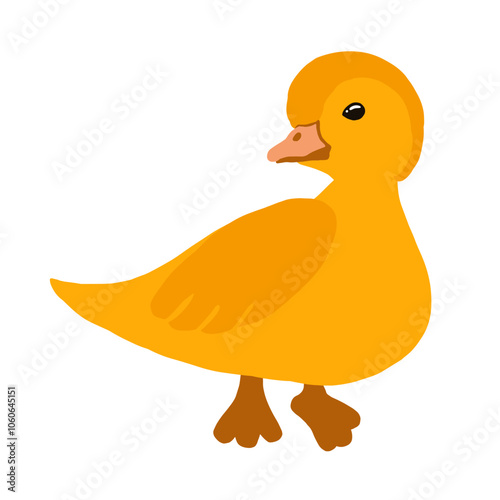 SS_habbit_spring pato, ave, caricatura, animais, vector, amarelo, ilustração, patinho, bebé, brinquedo, isolado, divertimento, bico, molhar, revestir com borracha, bonito, natureza, banho, cômico, gal