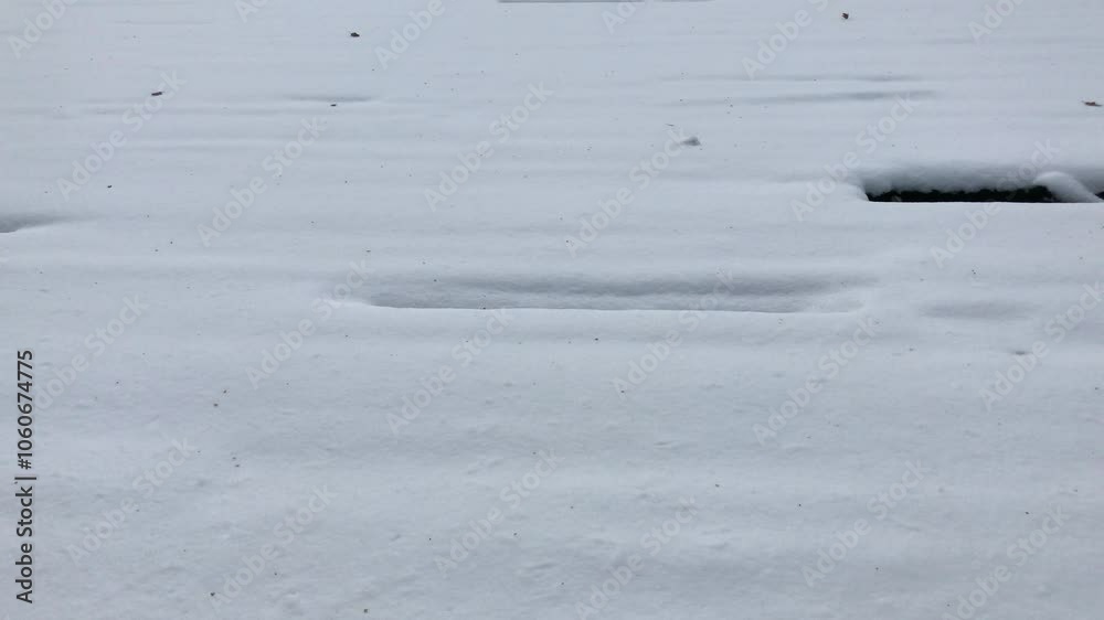 Serene Winter Snow Blanket Covering Surface with Gentle Indentations in Natural Setting. Perfect for Backgrounds, Winter Scenes, Seasonal Transitions, or Atmospheric Concepts Serene Winter Snow Blanket Covering Surface with Gentle Indentations in Natural Setting. Perfect for Backgrounds, Winter Scenes, Seasonal Transitions, or Atmospheric Concepts