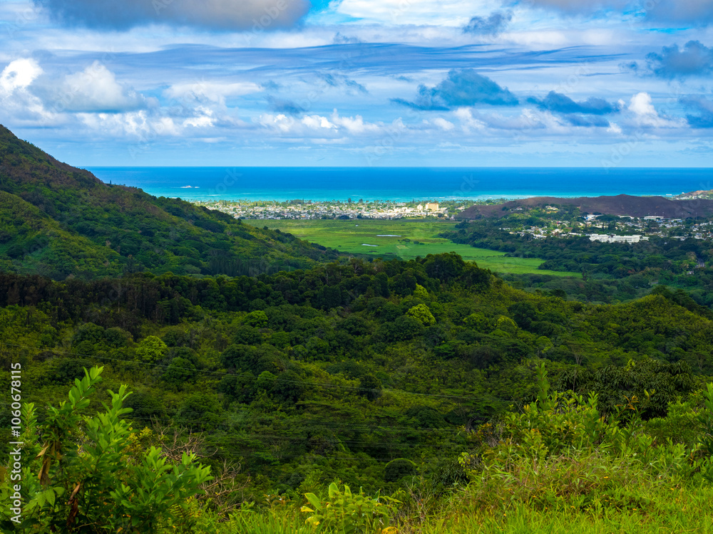 Fototapeta premium View from hawaiian mountains tropical