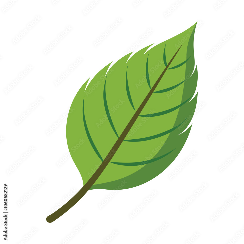 Beautiful flat style leaf vector illustration Beautiful flat style leaf vector illustration