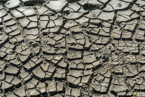 Parched and cracked earth portrays the harshness of drought and the need for water conservation.