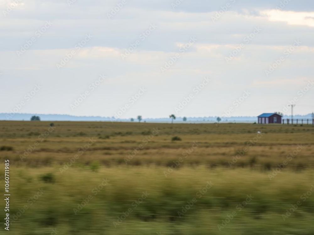 A serene landscape with a lone tree swaying in the wind, surrounded by fields of tall grass, rural, isolated A serene landscape with a lone tree swaying in the wind, surrounded by fields of tall grass, rural, isolated