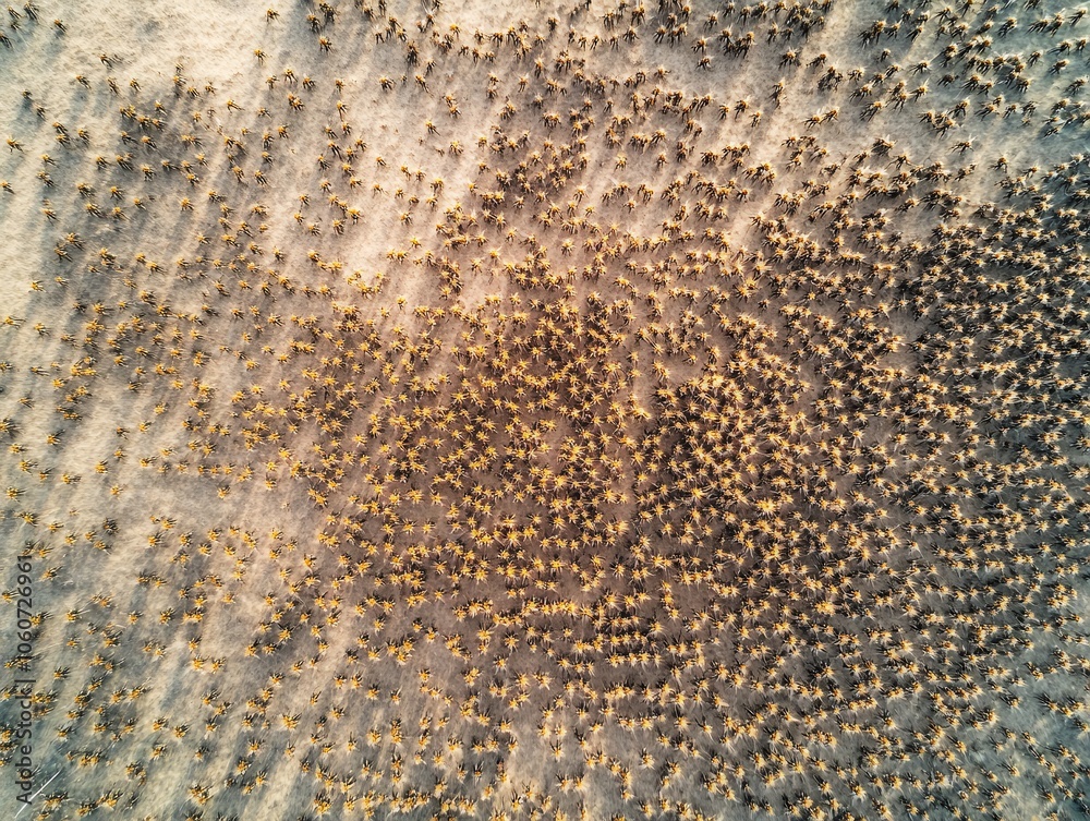 Aerial shot of a vast desert with patterns created by shadows and sunlight, offering a stunning natural spectacle Aerial shot of a vast desert with patterns created by shadows and sunlight, offering a stunning natural spectacle