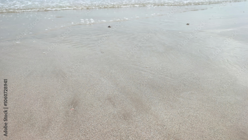 Pristine White Sands: Capturing the Pure Beauty of Tropical Beach Paradise Pristine White Sands: Capturing the Pure Beauty of Tropical Beach Paradise