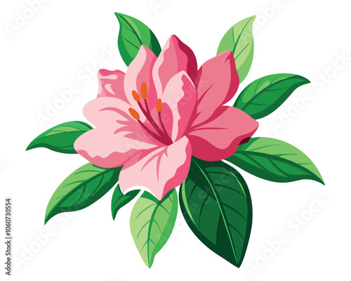 Azalea flower vector illustration on white background