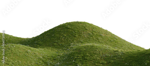 Grassy hill with flowers on a transparent background. 3D rendering.