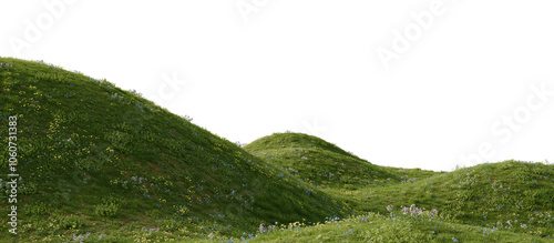 Grassy hill with flowers on a transparent background. 3D rendering.