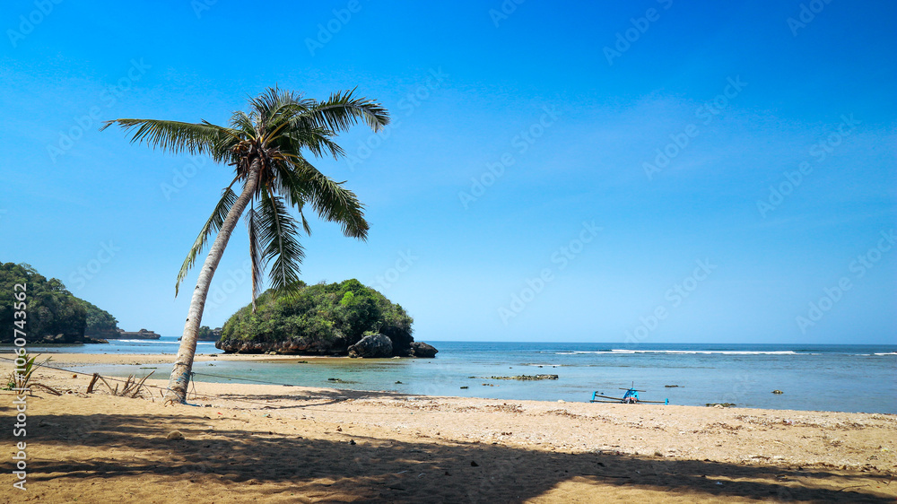 Beautiful beach with palm tree, white sand, and blue sky Beautiful beach with palm tree, white sand, and blue sky