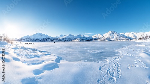 Exploring the vast icy landscape of a frozen tundra under a clear blue sky