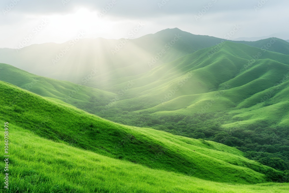 Fototapeta premium Stunning Sunrise Illuminates Misty Mountains and Lush Valleys With Golden Light