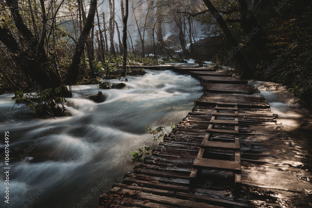 Naklejka premium Croatian forest pathway, flooded foggy and eerie