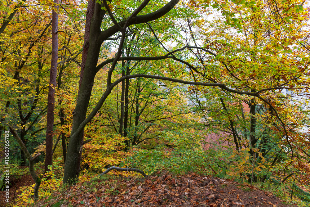 Colorful autumn Landscape in Bohemian Paradise, Czech Republic
