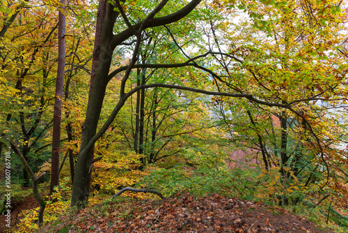 Obraz na płótnie Colorful autumn Landscape in Bohemian Paradise, Czech Republic w salonie