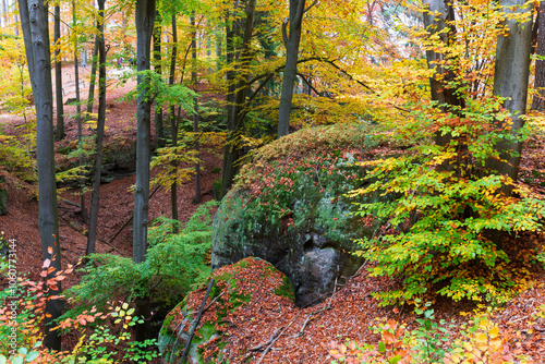 Colorful autumn Landscape in Bohemian Paradise, Czech Republic 