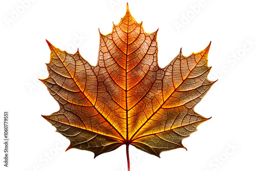 autumn maple leaf transparent background, generative Ai