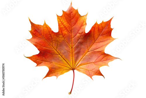 maple leaf isolated on transparent background, generative Ai