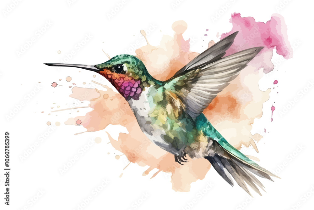 Watercolor hummingbird. Background with bird.