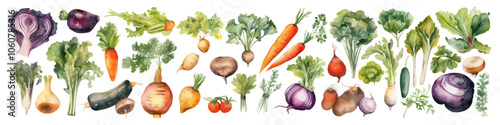 Watercolor vegetable collection. Food illustration set. Thanksgiving day.