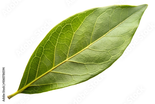 green leaf isolated on transparent background, generative Ai