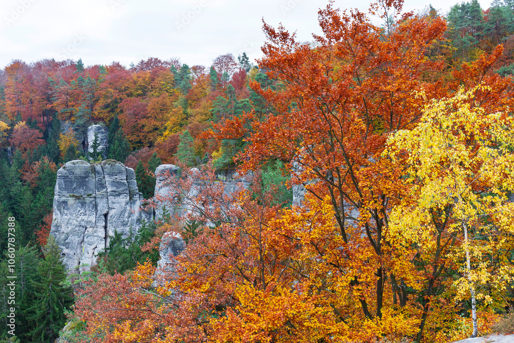 Colorful autumn Landscape in Bohemian Paradise, Czech Republic