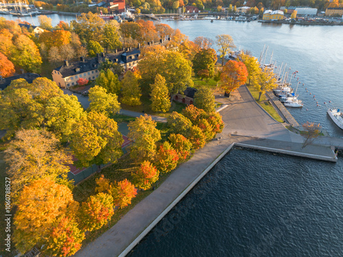 Aerial view of yellow and orange autumn colored trees in a park by the sea on Skeppsholmen island in central Stockholm photo