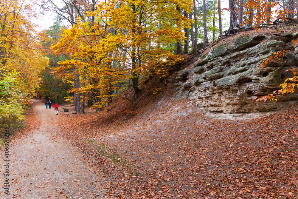 Colorful autumn Landscape in Bohemian Paradise, Czech Republic