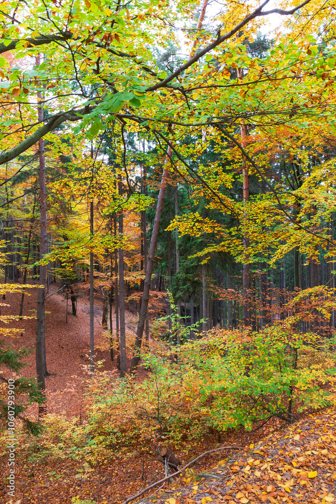 Colorful autumn Landscape in Bohemian Paradise, Czech Republic