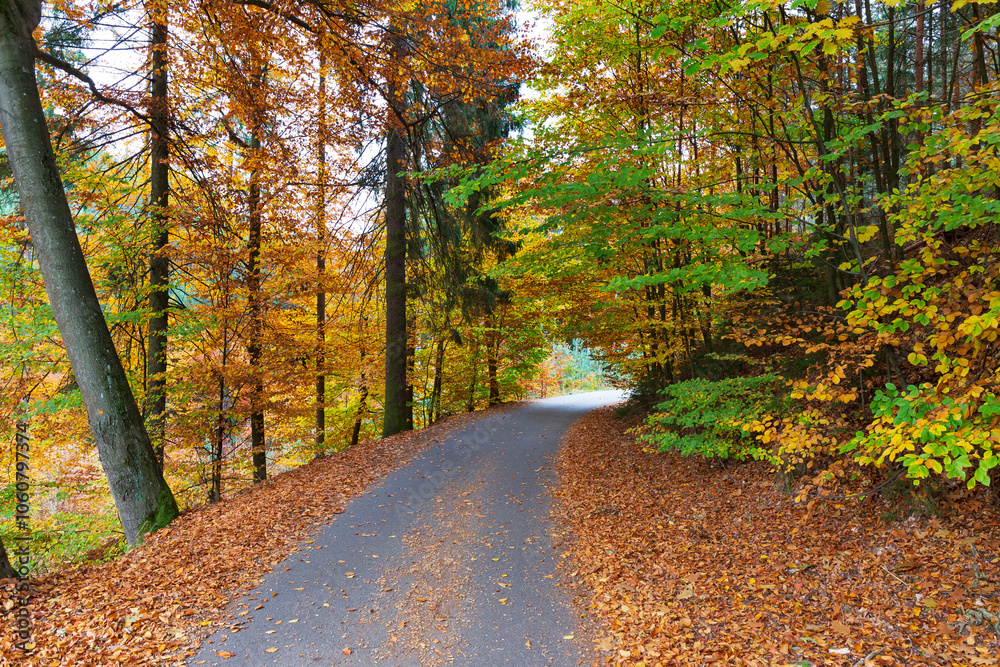 Colorful autumn Landscape in Bohemian Paradise, Czech Republic