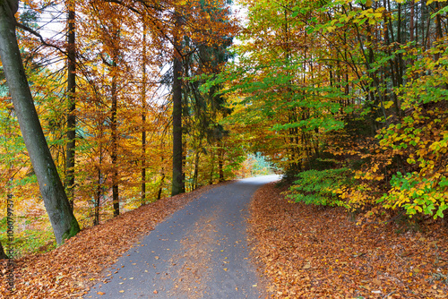 Obraz na płótnie Colorful autumn Landscape in Bohemian Paradise, Czech Republic w salonie
