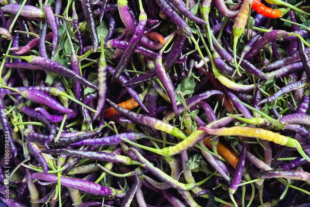 Colorful Cayenne peppers displayed in the market in Turkey