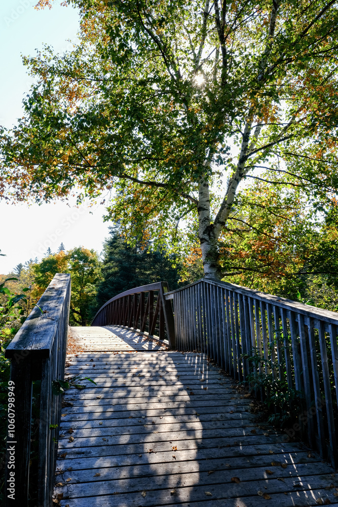 Fototapeta premium Old wooden arched bridge over the river, fall, Algonquin Provincial Park 2024