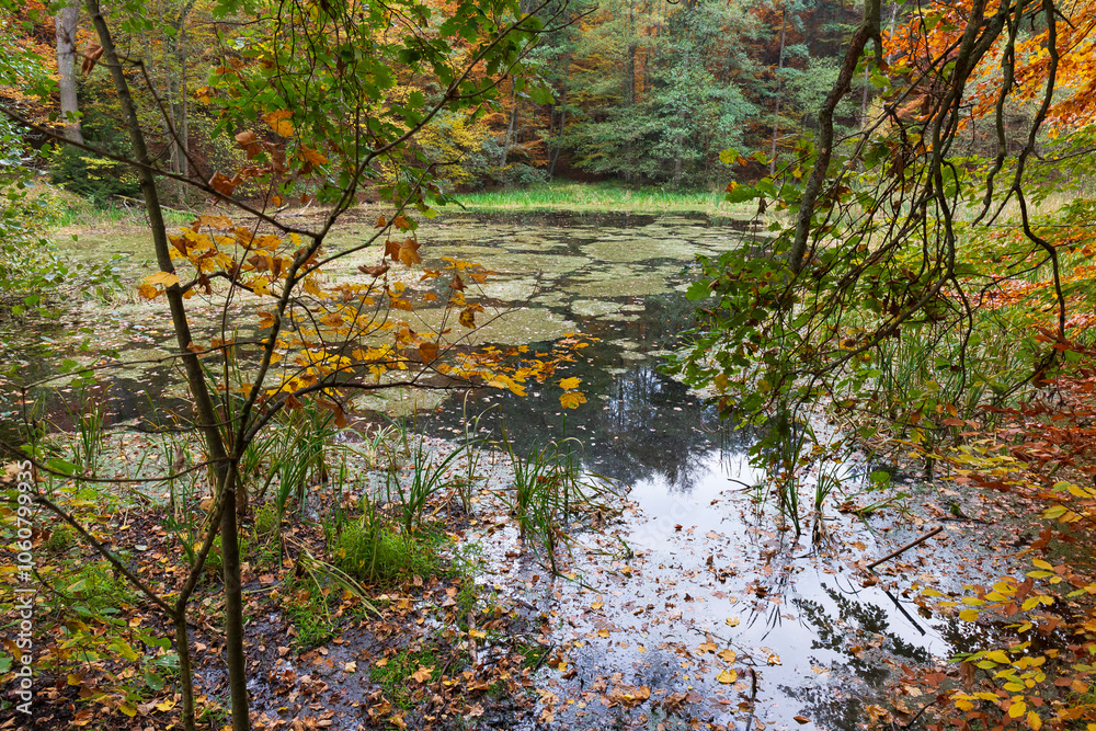 Colorful autumn Landscape in Bohemian Paradise, Czech Republic