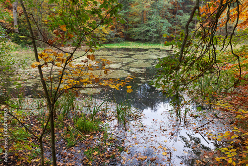 Obraz na płótnie Colorful autumn Landscape in Bohemian Paradise, Czech Republic w salonie