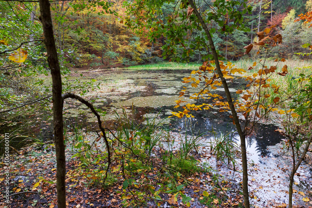 Colorful autumn Landscape in Bohemian Paradise, Czech Republic