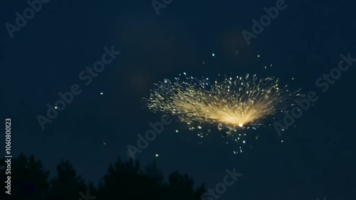 Night Looping Swarm Fireflies Isolated firefly insect no people texture particle dust star dot locust bug animation black background nature wildlife glowing energy flying buzzing pest swamp bayou loo