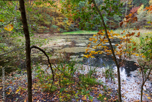 Obraz na płótnie Colorful autumn Landscape in Bohemian Paradise, Czech Republic w salonie