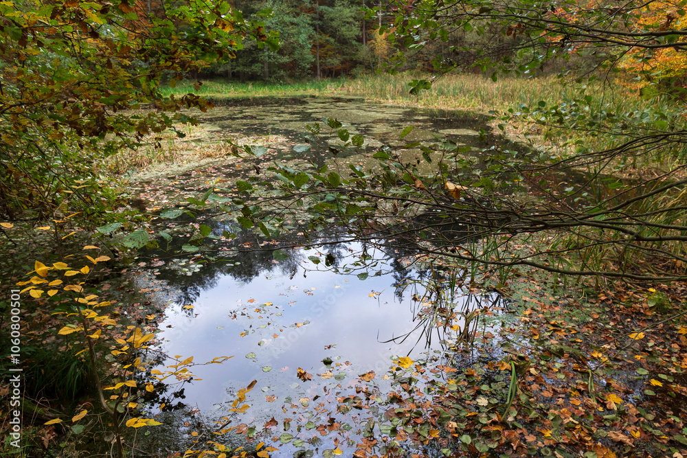 Colorful autumn Landscape in Bohemian Paradise, Czech Republic