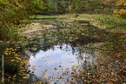 Obraz na płótnie Colorful autumn Landscape in Bohemian Paradise, Czech Republic w salonie