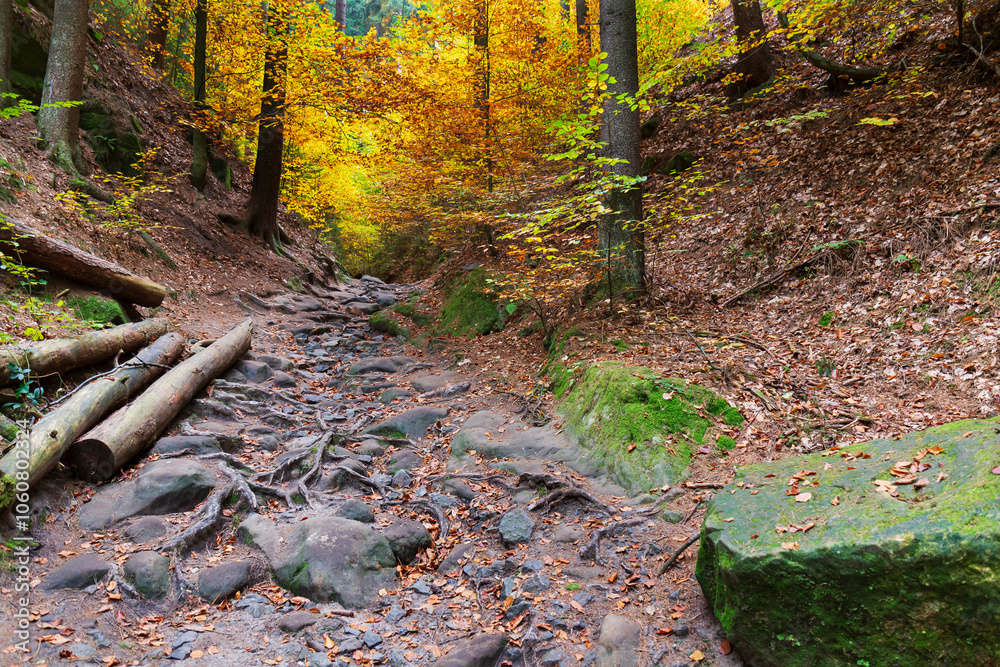 Colorful autumn Landscape in Bohemian Paradise, Czech Republic