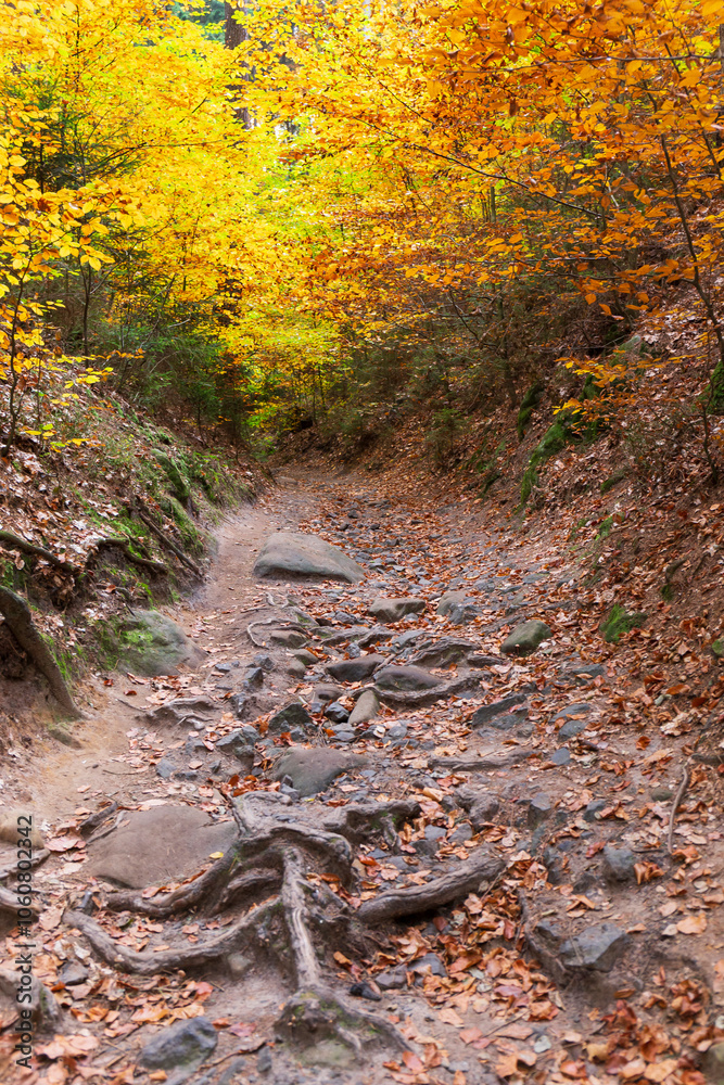 Colorful autumn Landscape in Bohemian Paradise, Czech Republic