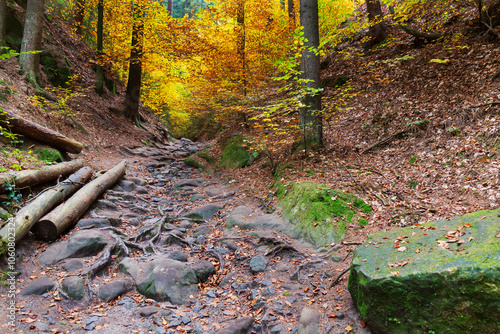 Obraz na płótnie Colorful autumn Landscape in Bohemian Paradise, Czech Republic w salonie