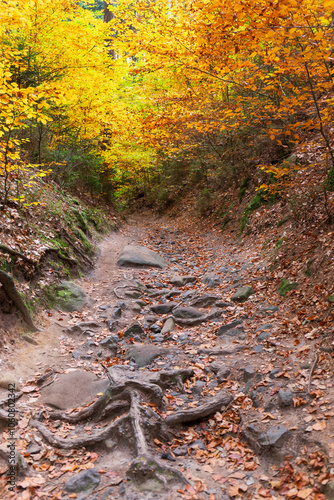 Obraz na płótnie Colorful autumn Landscape in Bohemian Paradise, Czech Republic w salonie
