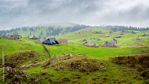 Village d'alpage sur une grande plaine verte avec maison de bois sous un temps brumeux  photo