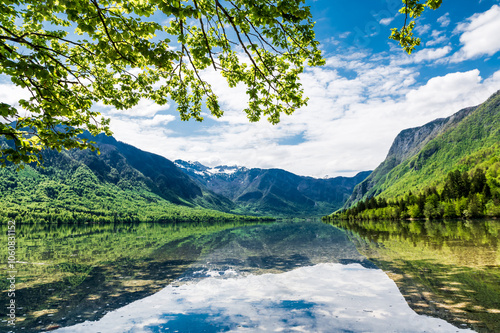 Fototapeta Naklejka Na Ścianę i Meble -  Lac Bohinj sous le soleil avec reflet dans le lac et des branches d'arbres encadrant la photo