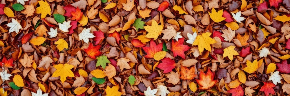 Vibrant assortment of fall leaves in shades of red, orange, and yellow lying on the ground, autumn, leaves Vibrant assortment of fall leaves in shades of red, orange, and yellow lying on the ground, autumn, leaves