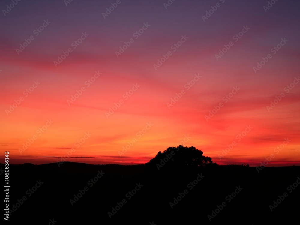 Vibrant orange and pink hues paint the sky as the sun sets behind the silhouette of a lone palm tree, sky, evening Vibrant orange and pink hues paint the sky as the sun sets behind the silhouette of a lone palm tree, sky, evening