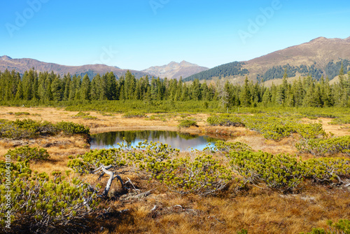 Herbstliche Moorlandschaft auf einem Hochplateau in Österreich photo