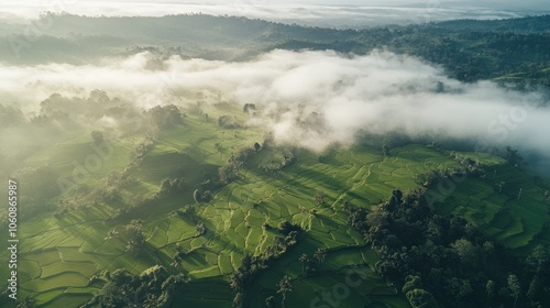 Aerial view of lush green rice terraces with mist and clouds in the morning.