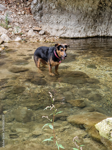 riserva naturale guidata Gole di San Venanzio photo