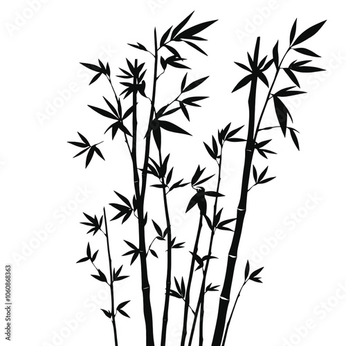 Bamboo Plant Vector Art